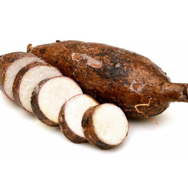 Yuca